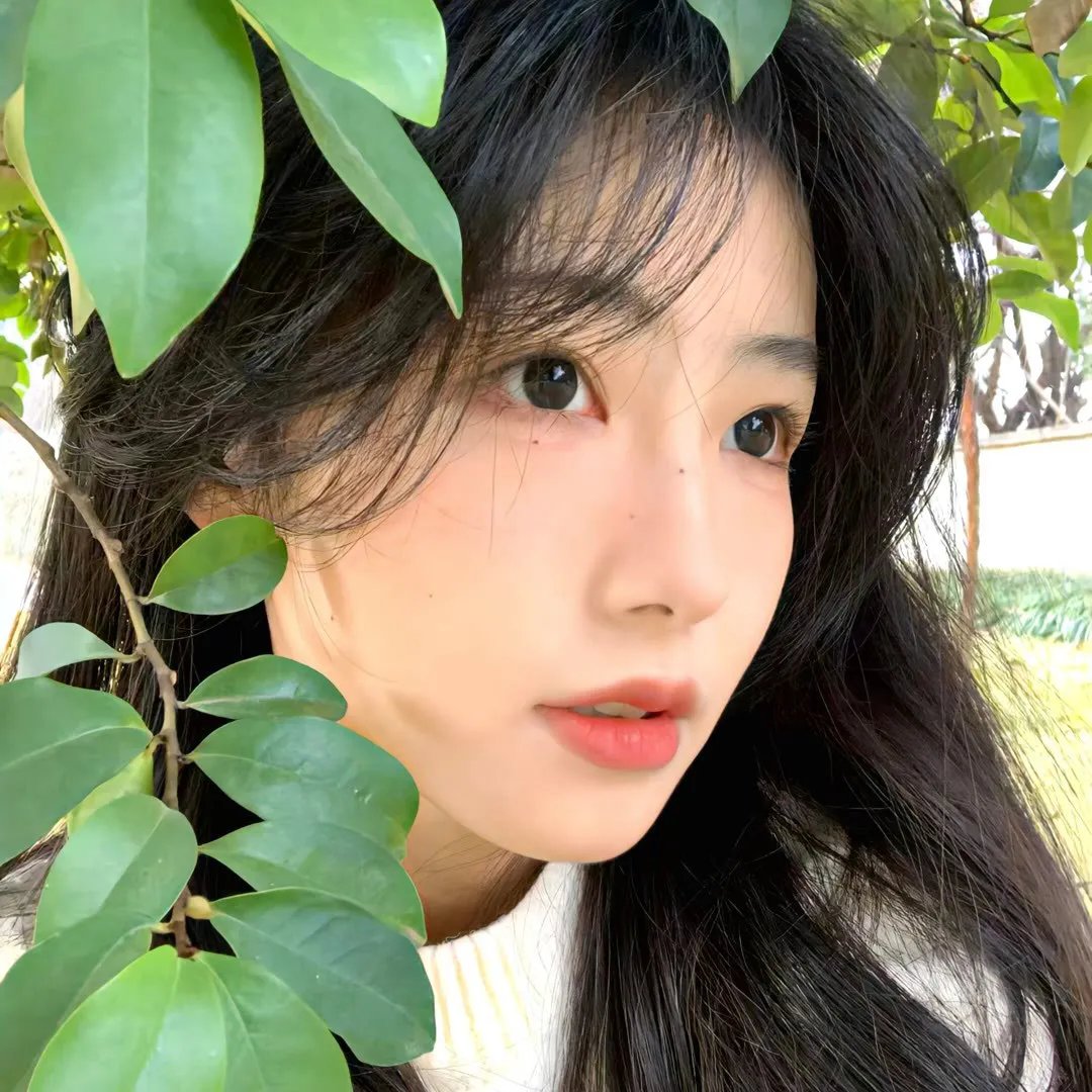 最终行动